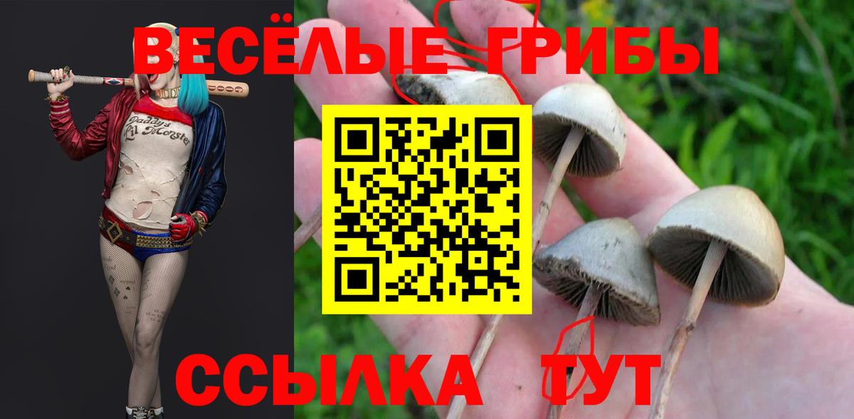 Калач-на-Дону  дарнет шоп  Галлюциногенные грибы GOLDEN TEACHER  Вход с VPN  Псилоцибиновые грибы ЛСД 